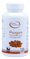 Pangam Vitamin B15 Vegi Kapseln 120 Stck